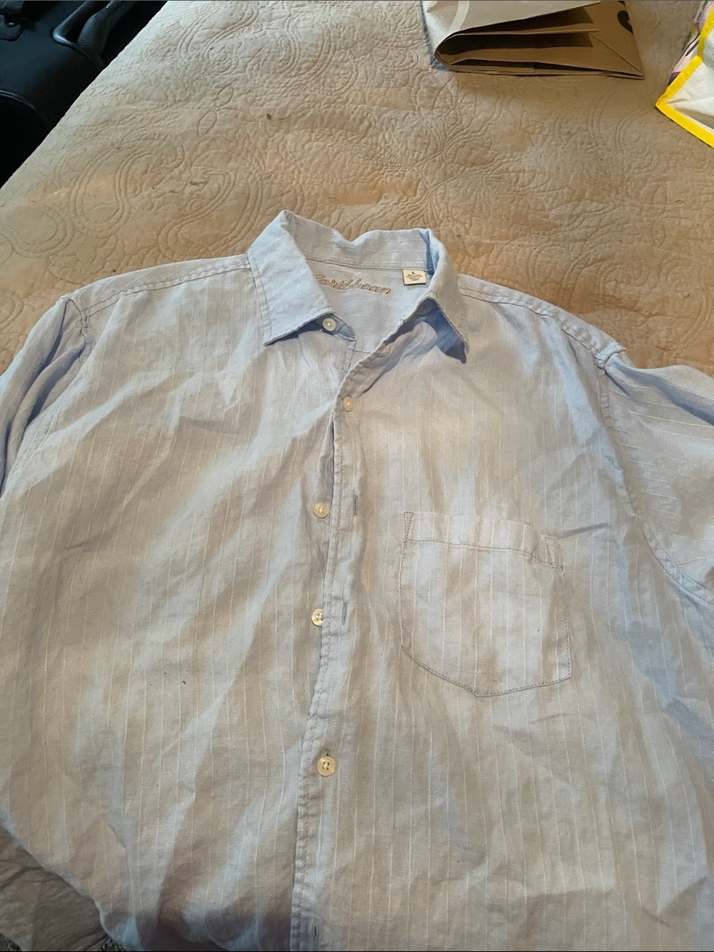 Caribbean Light Blue Striped Casual Button-Down Shirt